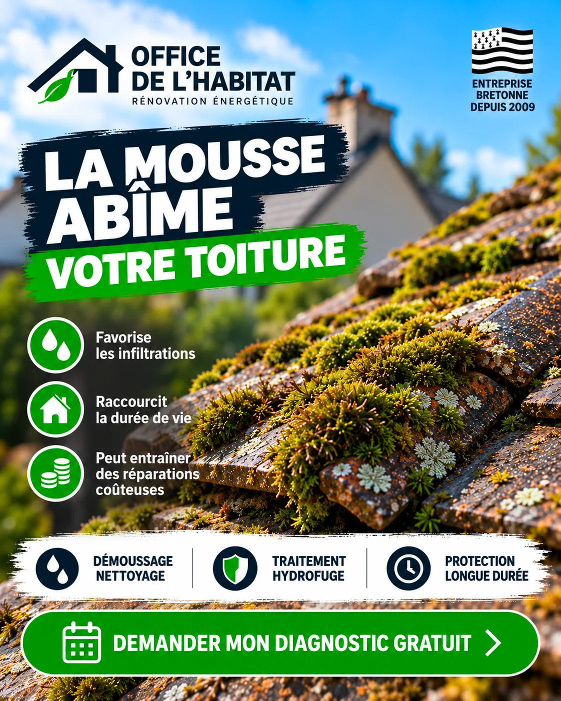 Office de l'Habitat : la mousse abîme votre toiture, diagnostic gratuit en Bretagne